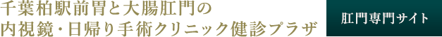 千葉柏駅前胃と大腸の肛門内視鏡クリニック（肛門専門サイト）