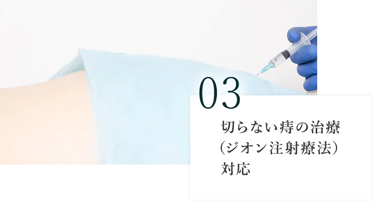 切らない痔の治療（ジオン注射療法）対応