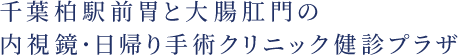 千葉柏駅前胃と大腸肛門の内視鏡・日帰り手術クリニック健診プラザ